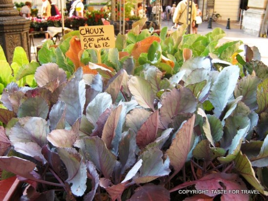 Cabbage plants Aix-en-Provence market (2)